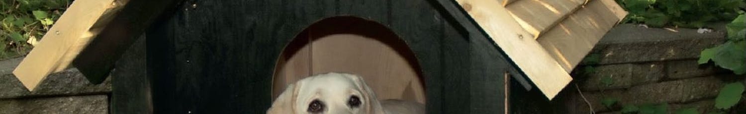 Hundkoja vinterbonad Hundkoja vinterbonad